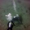 Picture taken during the dive