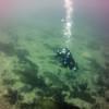 Picture taken during the dive