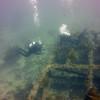 Picture taken during the dive