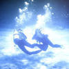 Picture taken during the dive