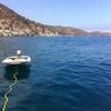 Picture taken during the dive
