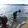 Picture taken during the dive