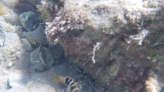 Carthago Diving - Dive Center