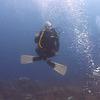 Picture taken during the dive