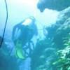 Picture taken during the dive