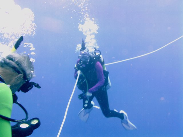 Dive Key West, Inc - Dive Center in United States