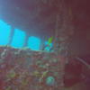 Picture taken during the dive
