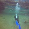 Picture taken during the dive