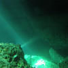 Picture taken during the dive