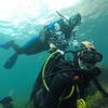 Picture taken during the dive