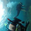 Picture taken during the dive