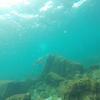 Picture taken during the dive