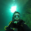 Picture taken during the dive
