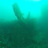 Picture taken during the dive