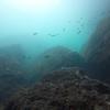 Picture taken during the dive