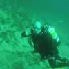 Picture taken during the dive