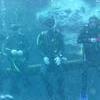 Picture taken during the dive