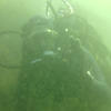 Picture taken during the dive