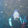 Picture taken during the dive
