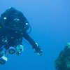Picture taken during the dive