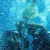 Picture taken during the dive