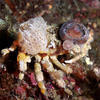 Picture taken during the dive