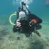 Picture taken during the dive