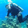 Picture taken during the dive