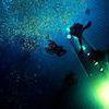 Picture taken during the dive
