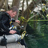 Picture taken during the dive