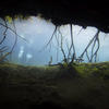 Picture taken during the dive