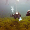 Picture taken during the dive