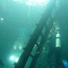 Picture taken during the dive