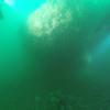 Picture taken during the dive