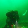 Picture taken during the dive