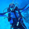 Picture taken during the dive