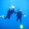 Picture taken during the dive