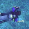 Picture taken during the dive