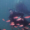 Picture taken during the dive