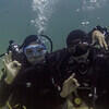 Picture taken during the dive