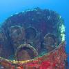 Picture taken during the dive