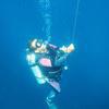 Picture taken during the dive