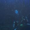 Picture taken during the dive