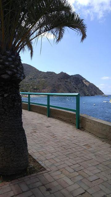 Catalina Divers Supply LLC - Dive Center in United States