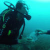 Picture taken during the dive