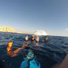 Picture taken during the dive