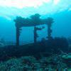 Picture taken during the dive