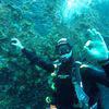 Picture taken during the dive