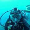 Picture taken during the dive