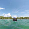 Picture taken during the dive